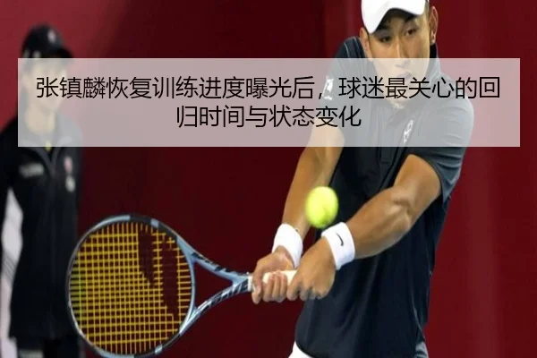 张镇麟恢复训练进度曝光后，球迷最关心的回归时间与状态变化