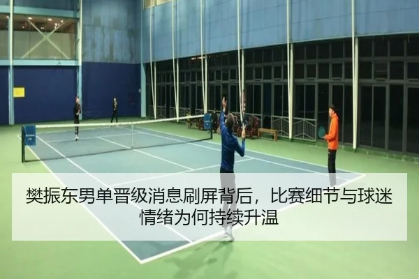 樊振东男单晋级消息刷屏背后，比赛细节与球迷情绪为何持续升温